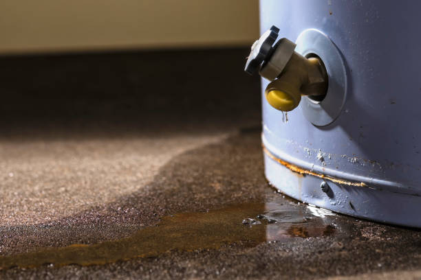  North Vernon, IN Water damage restoration Pros