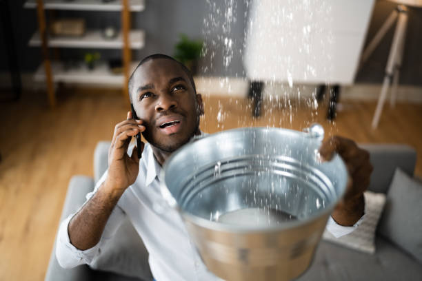 Best Flood damage cleanup  in North Vernon, IN