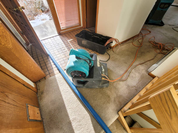 Best 24/7 water damage repair  in North Vernon, IN