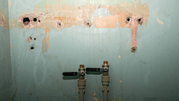 Trusted North Vernon, IN Water damage restoration Experts