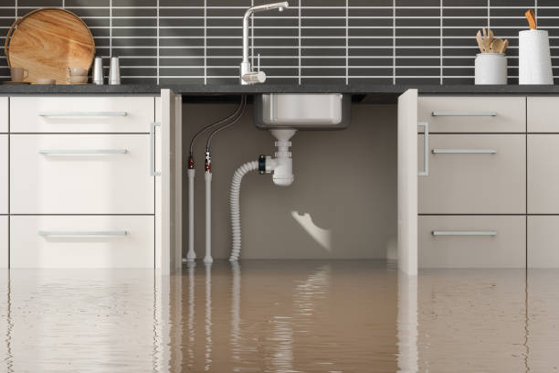 Best Water damage restoration near me  in North Vernon, IN
