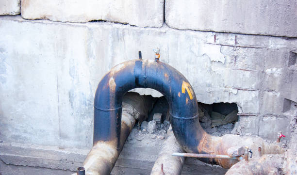 Best Mold removal after water damage  in North Vernon, IN